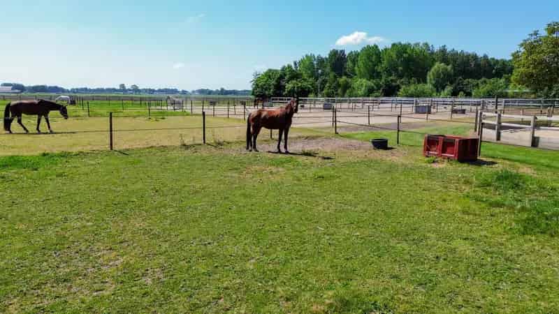 Woonboerderij met Hippische Faciliteiten te Veulen