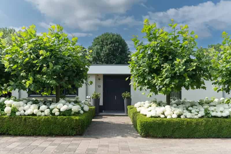 Huis te koop: Koeteburg 10 1435 HN Rijsenhout | Funda