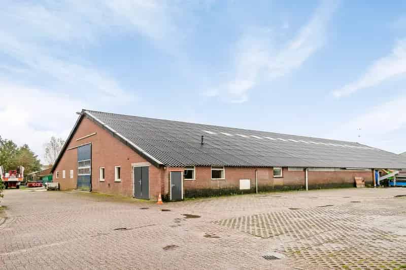 Sierteeltbedrijf te koop Oost West en Middelbeers