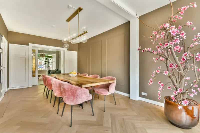 Moderne Dubbele Benedenwoning Schiedam West Ruime Tuin 3 Slaapkamers
