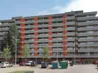 Studio Eindhoven Doctor Hermansweg 31m2