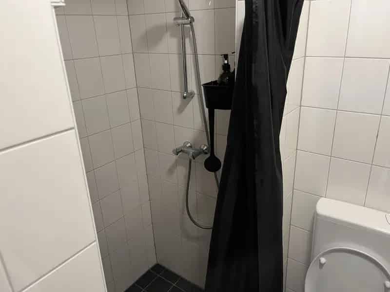 Benedenwoning nabij Station Velperpoort en Park Sonsbeek