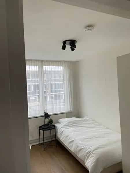 Te Huur: Ruime 4 Slaapkamer Tussenwoning in Brielle