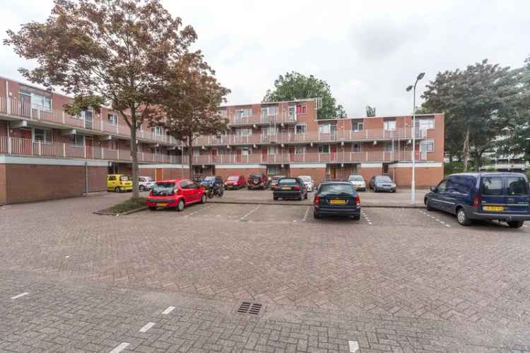 3 Kamer Benedenwoning Meerzicht  Jonge Starters