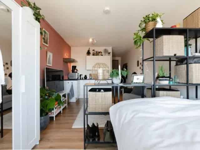 Appartement te Huur Amsterdam Elizabeth Cady Stantonplein