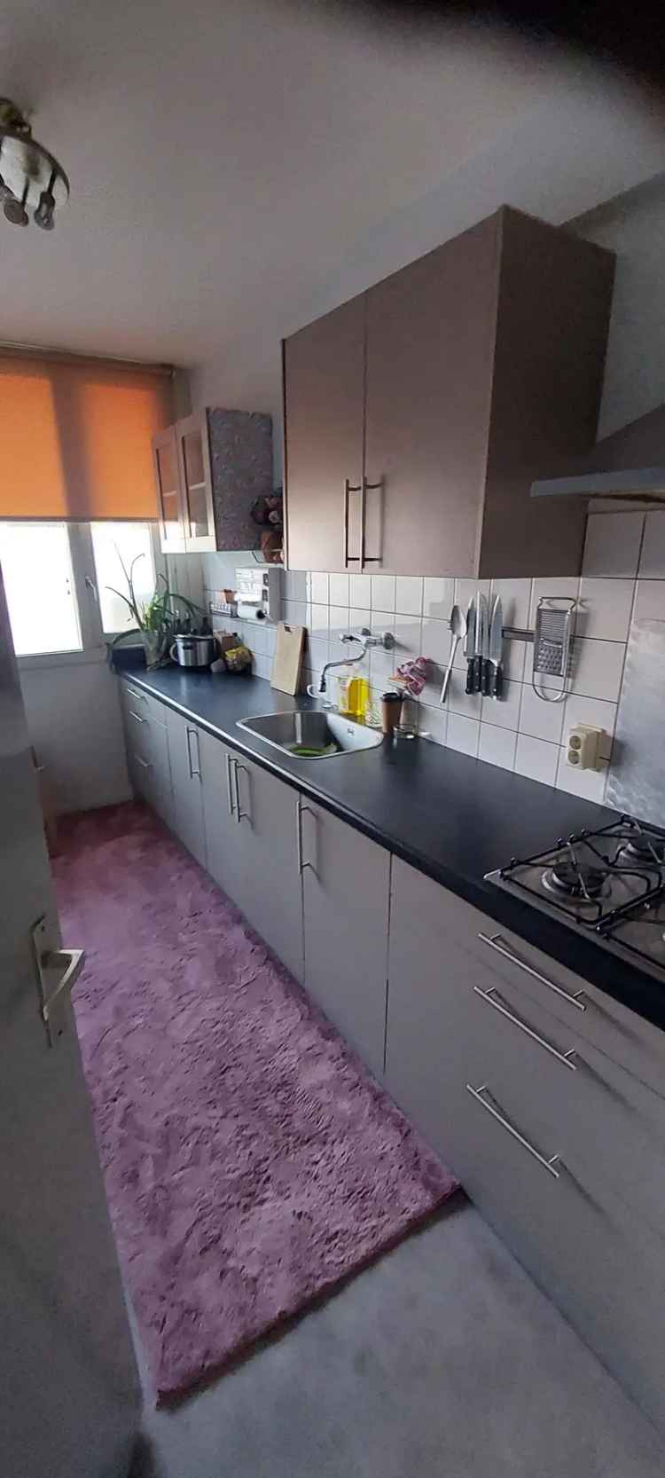 Huisgenoot gezocht voor fijn huis met tuin