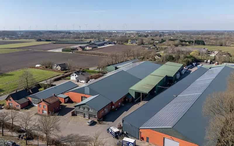 Bedrijfshal te Huur Strijbeek 3830m2