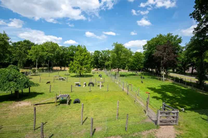 Veluwse Woonboerderij Rijksmonument 1841 te Putten