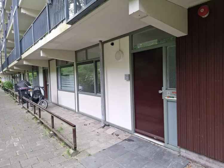 Gezinnen gezocht Beethovenlaan 118