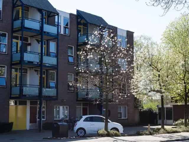 1 Kamer Appartement 16m² Enschede