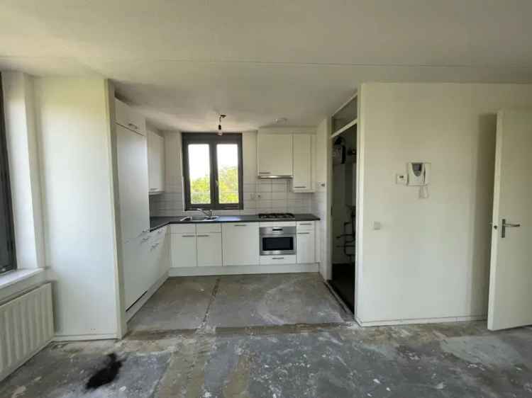 Ruim 3-kamer appartement te huur in groene stadswijk