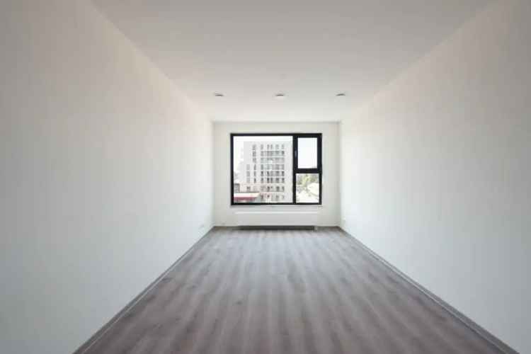 Studio Amsterdam Noord Ivy Amsterdam