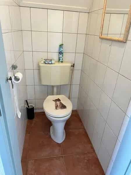 Vrijstaande woning Westerschelde nabij: 3 slaapkamers, 2 badkamers, tuin op het zuiden
