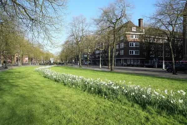 Appartement Apollolaan Amsterdam 4 Kamer Hoekappartement