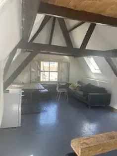 2 Kamer Appartement 60m2 Tiel Centrum Gemeubileerd Dakterras