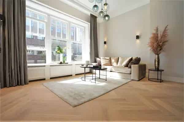 Luxe 3-Kamer Appartement Oud Zuid Gemeubileerd