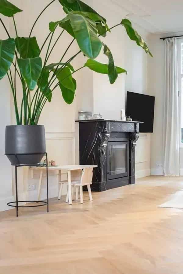 5 Slaapkamers Huis Kralingen Ruime Tuin Slotvijver Gemeubileerd