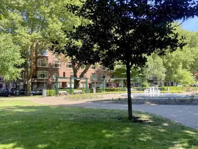 Te Huur: Gerenoveerd 3-kamer appartement Blijdorp Rotterdam