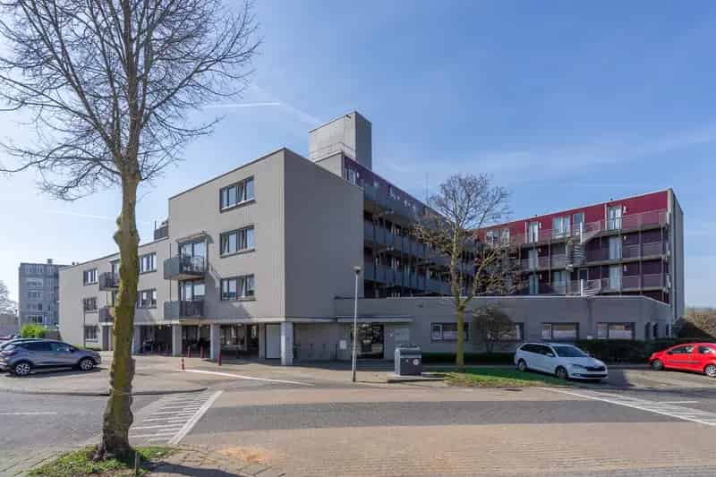 3-kamer appartement Arnhem Zuid  modern gerenoveerd  energielabel A