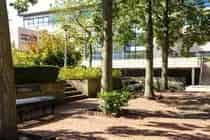 449 m2 Kantoorruimte te Huur Schiphol-Rijk