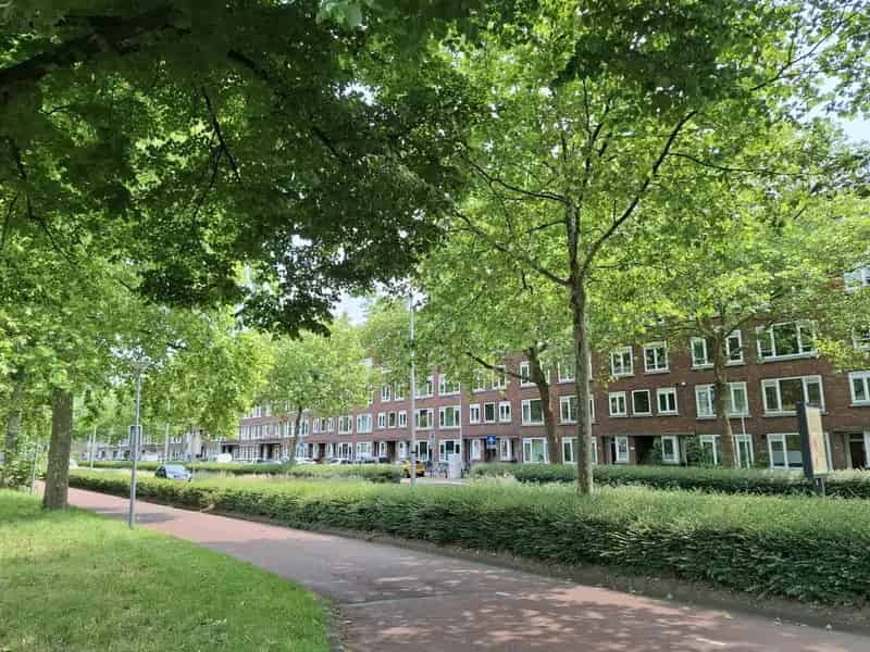 3 Kamer Appartement Rotterdam Liskwartier