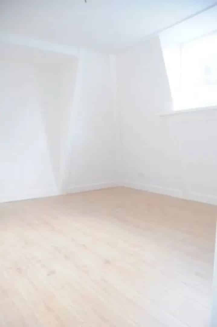 Gerenoveerd 3 Kamer Appartement Centrum Den Haag