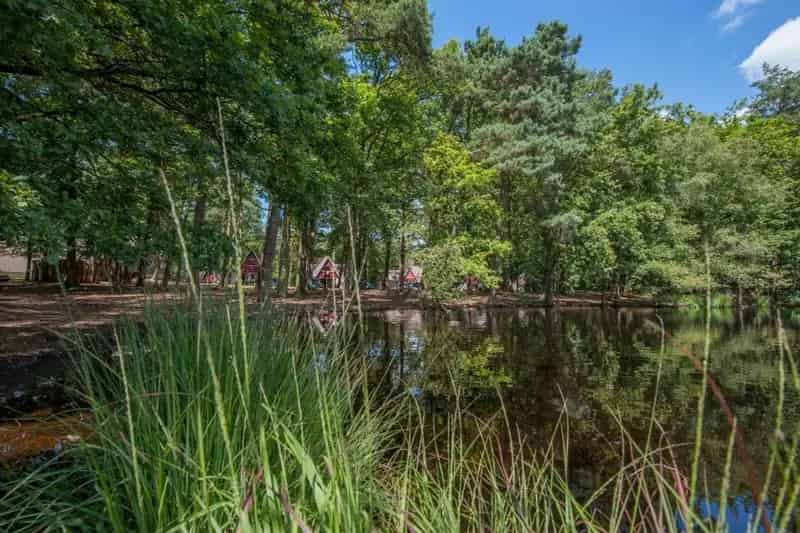 Recreatiewoning te Koop Roompot Bospark 't Wolfsven - Belegging 5% Rendement