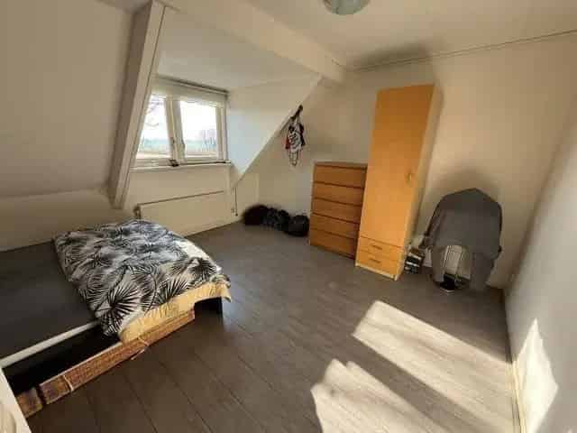 Boerderijwoning nabij Amsterdam Ruimte Rust en Stilte