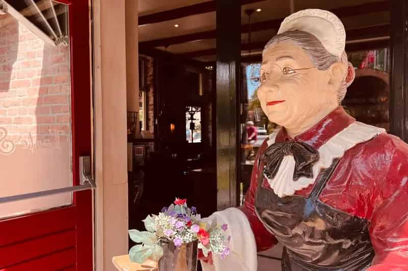 Horecaruimte Zweeloo te Koop: Bistro Tante Sweel