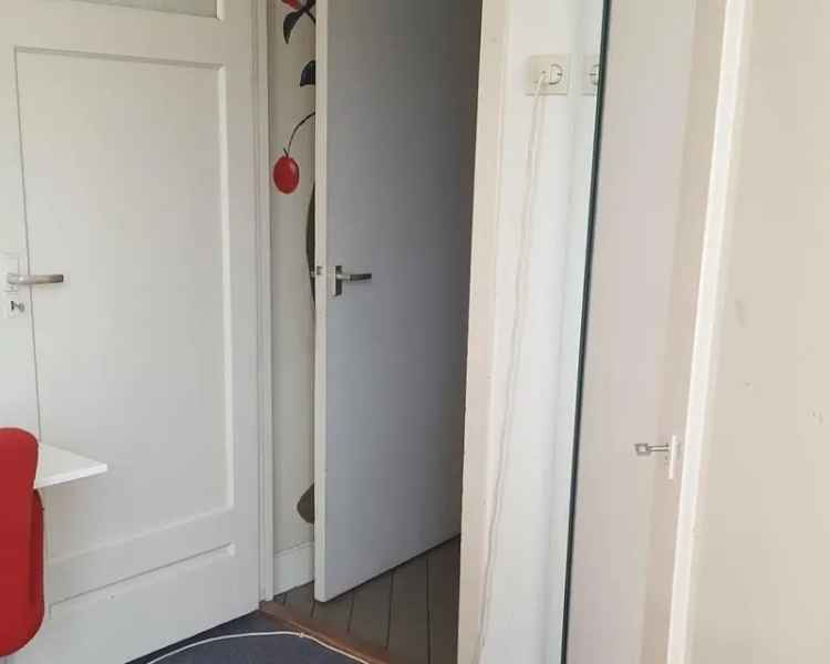 Zonnige kamer in Amsterdam Oud Zuid