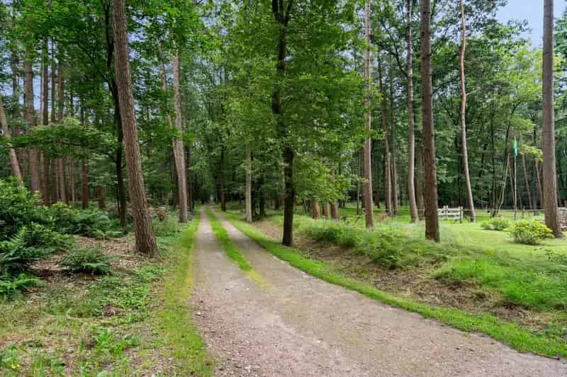 Vrijstaande Bungalow Lunteren Generatiewoning Paarden