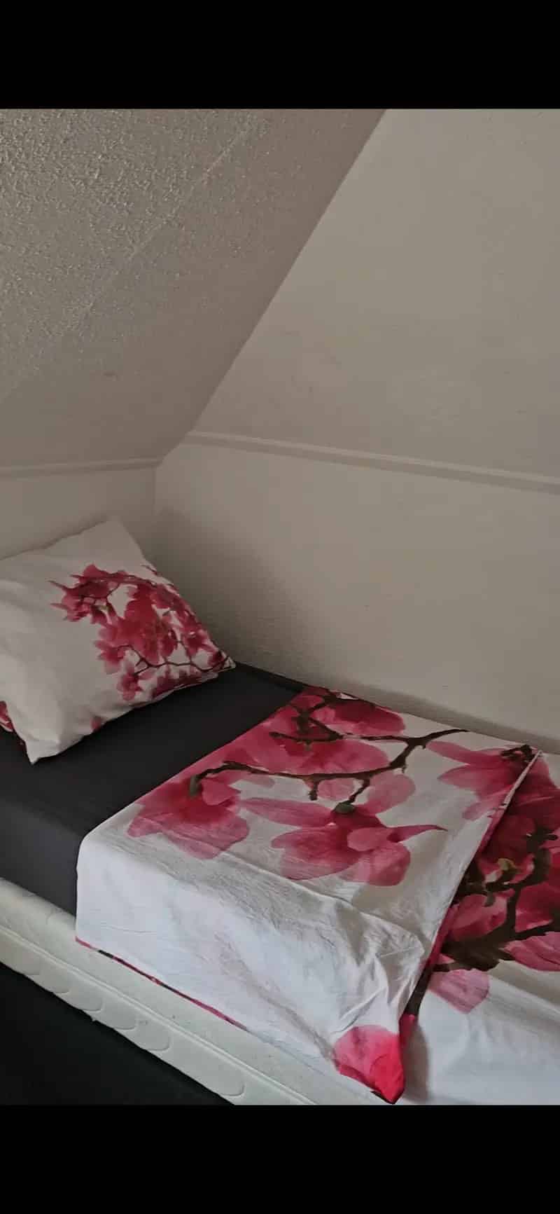 Kamer Sneek Centrum Nabij Openbaar Vervoer
