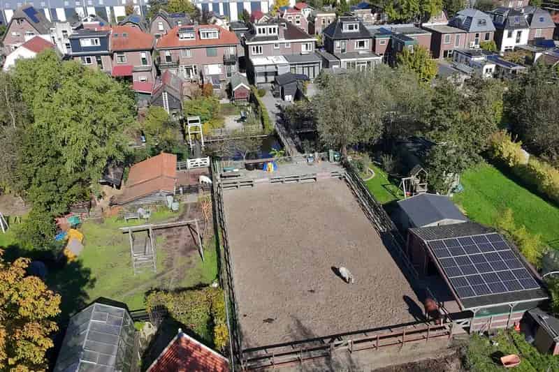 Unieke Landelijke Woning met Paddock en Grote Tuin
