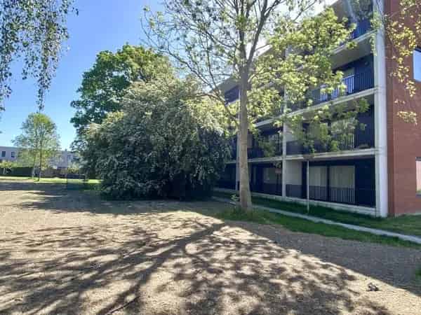 Appartement Brandemeer Leeuwarden 3 kamers 74m2