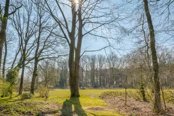 Vrijstaande woning Hooghalen - Gerenoveerd - Energielabel A