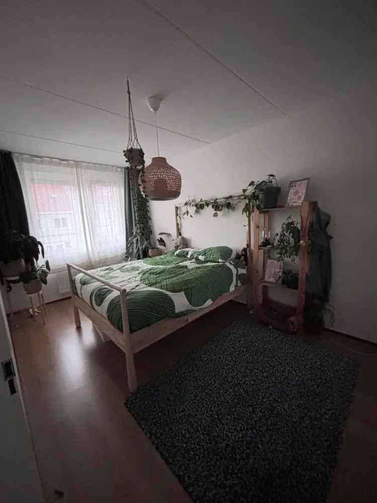 Kamer te huur Borne - Rustig - Inclusief alles
