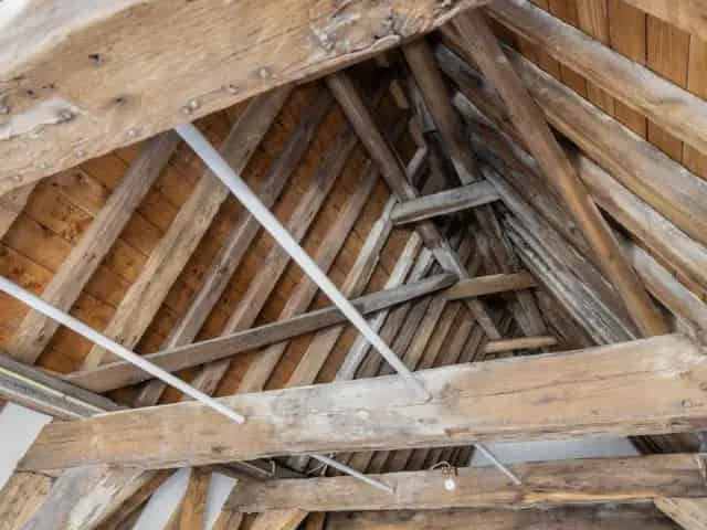 Te Huur Haarlem: Bovenwoning De Olifant 110m2
