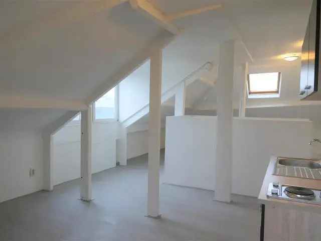 Kamer Maastricht Meerssenerweg Wyckerpoort