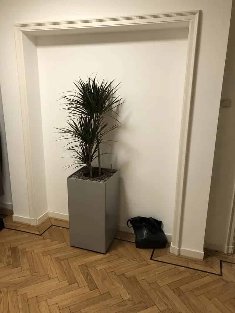 Appartement Oud Zuid Amsterdam Nabij WTC