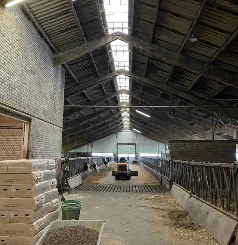 Agrarisch bedrijf Easternijtsjerk te koop