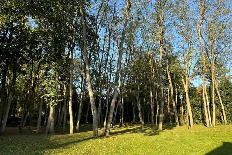 Bouwkavel Bussum 1399m² Droomvilla Kindvriendelijk