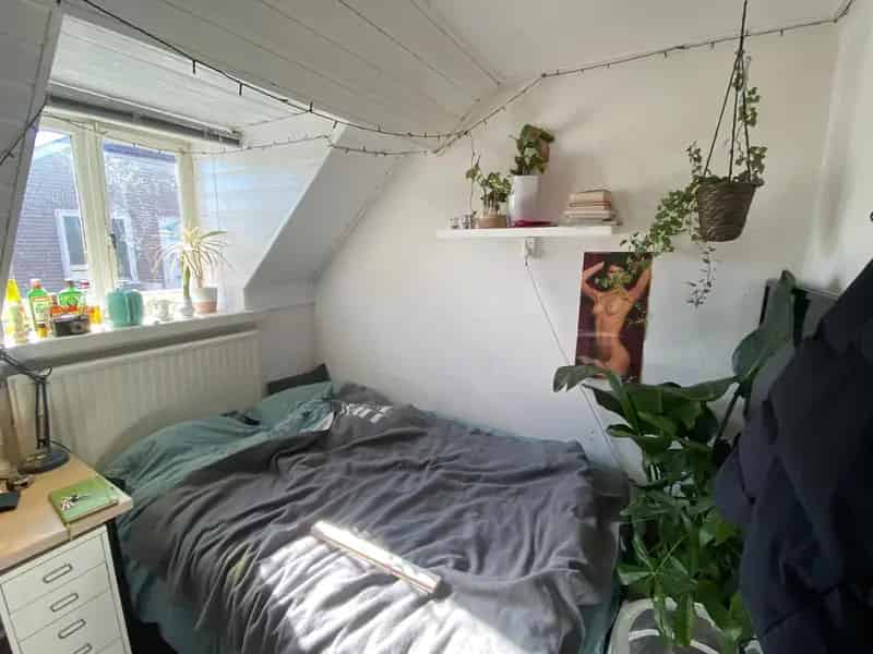 Studentenkamer Eindhoven: Gezellig Huis 15 Personen
