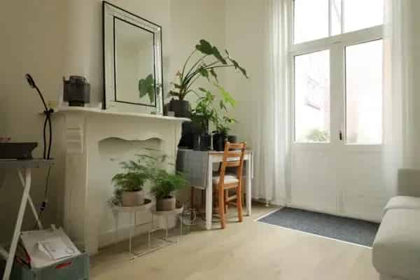 Appartement Looierstraat Utrecht: 2 Badkamers, Tuin & Dakterras
