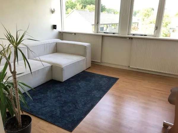 Woning Te Huur in Groningen, Groningen