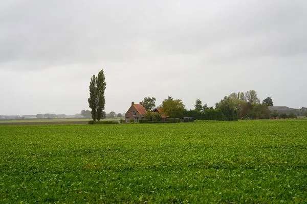 Woonhuis met atelier in IJzendijke, omringd door weidse polders