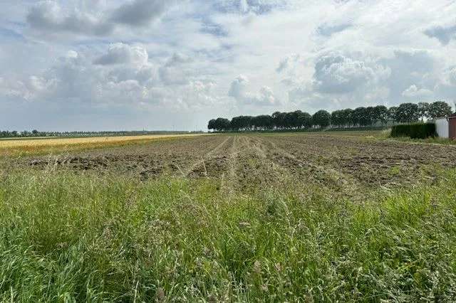 Agrarische grond Sas van Gent | Zoek agrarische grond te koop: Zandstraat 4551 LC Sas van Gent [funda in business]