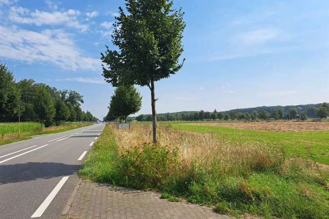 Agrarische grond Maasbracht | Zoek agrarische grond te koop: Rijksweg 6051 KP Maasbracht [funda in business]